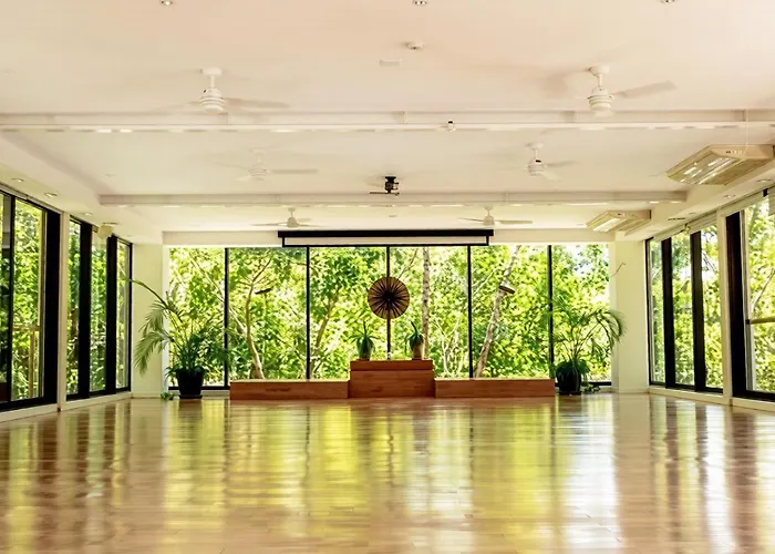 Bright 1 Bd With Private Terrace Near Tulum Apartment Akumal