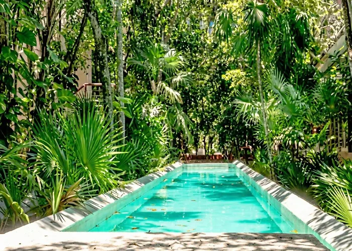 Bright 1 Bd With Private Terrace Near Tulum * Akumal